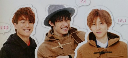 Wink Up 2016.03