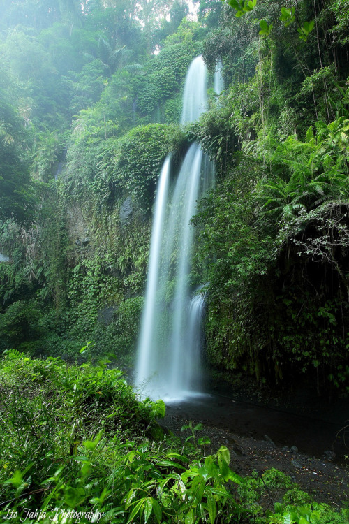 wanderthewood:  Sendang Gile, Mount Rinjani, Indonesia by Ito Jahja ~