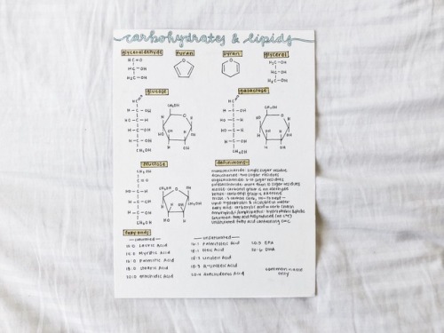 Biochemistry Study-posters I Made For Last Quarter (that I’ve Procrastinated Posting)