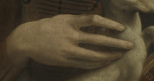 discoveringdavinci:The hand of the “Lady with an Ermine” being digitally restored. (Work in progress