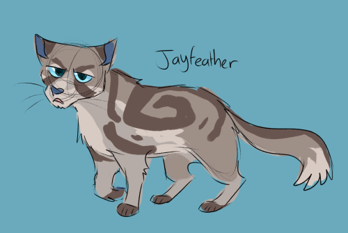 so cats, huh? — can I get a uhhhhhhhhhhhhhhhhhhhh jayfeather?