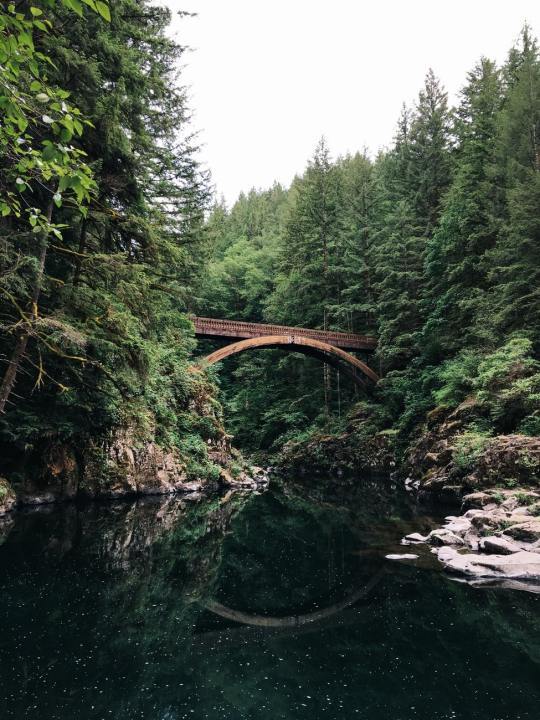 My adventure through the forest