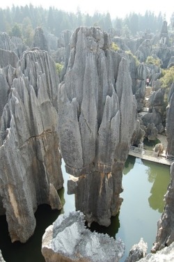 lalulutres:  The Stone Forest, China 