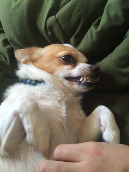 hella-bogus:  what a beauty queen  Who is she