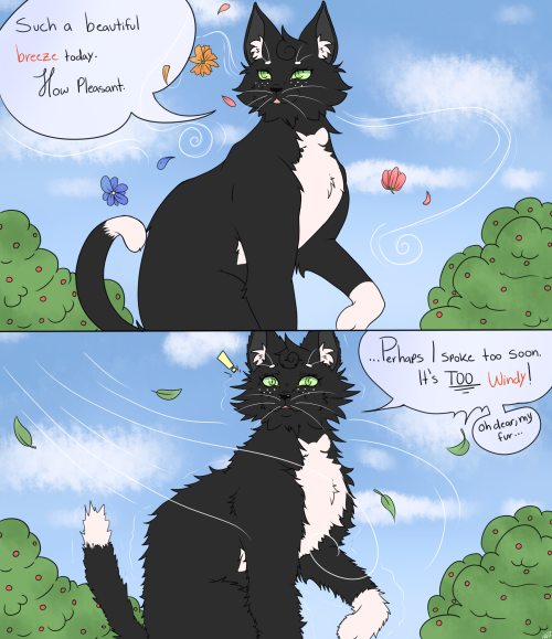 Work art I had to do for the kids at my internship featuring Tiny Tiger the Eastern Swallowtail and Viridiansong, my warriors OC LOL. Havent posted here in a minute, figured y’all might enjoy them reacting to the weather!