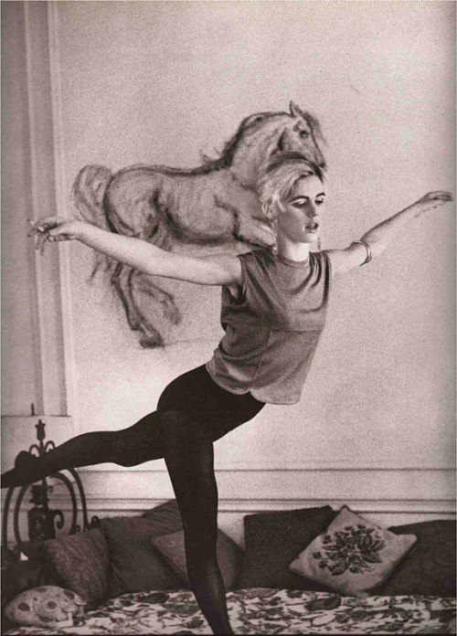 Porn photo nel-mio:  Edie Sedgwick  