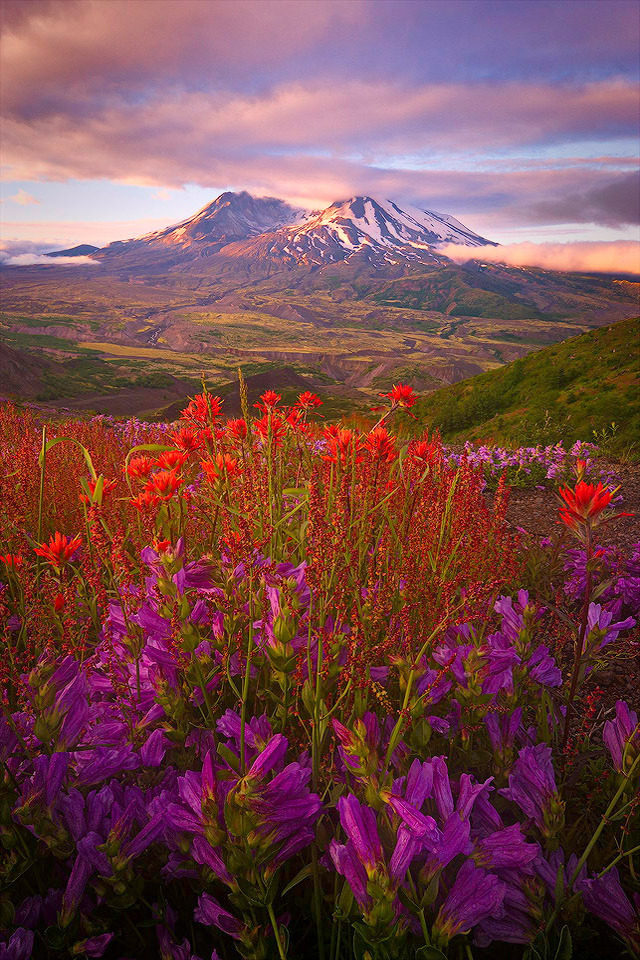 A Nature Blog