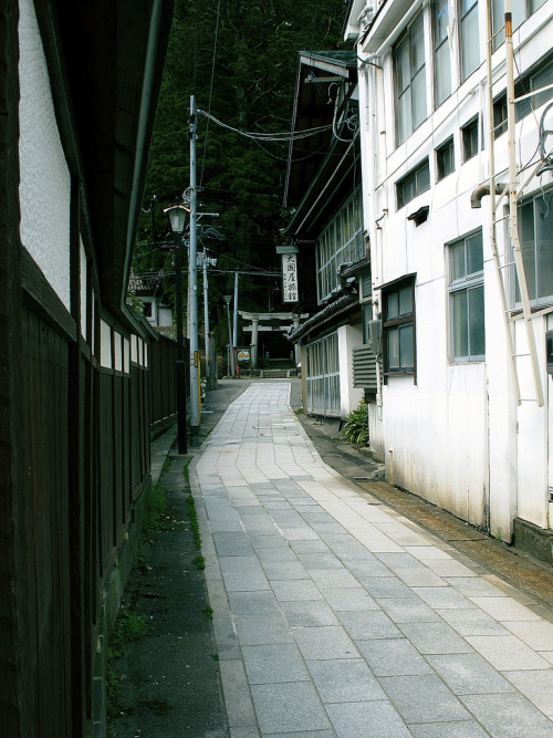 湯田川 由豆佐売神社 参道By : Jun K