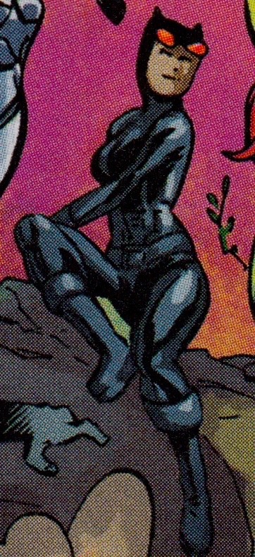 vikaq:  Pre 52 Gotham City Sirens
