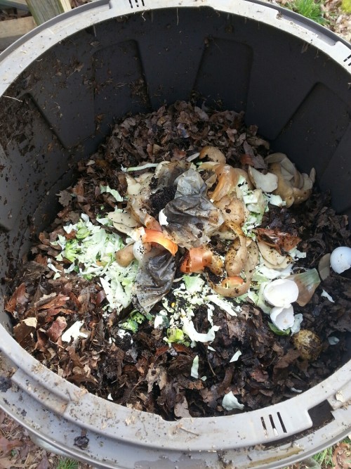 padillacs: It may be the coldest day of the season, but it’s always a good day to compost! Wha