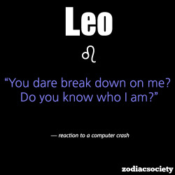 Zodiacsociety:  Leo Reaction To A Computer Crash 