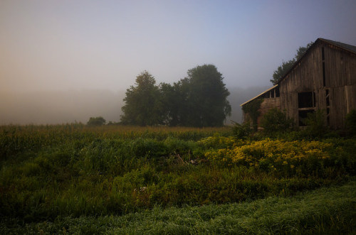 Early Morning Colors by CM Murray on Flickr.