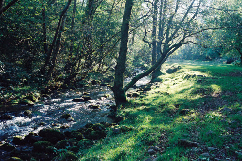 BreconBeacons04_sml by Laura DempseyVia Flickr:Brecon Beacons, Wales. Expired film.