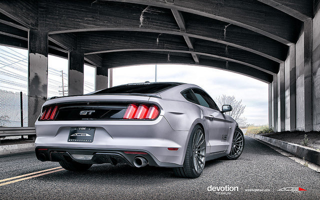 Ford Mustangs