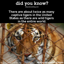 did-you-kno:  There are about twice as many