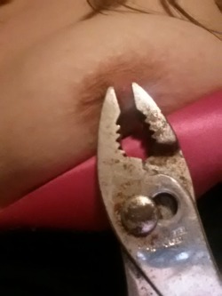 meganxx15:  I love teasing myself with these. I love feeling the contrast of the cool metal and the warm throb of my nipples. Amazing.  So savage, but that adds to the eroticism. A pretty delicate nipple in the clutches of an old rusted pair of pliars.