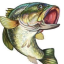 swagpescado