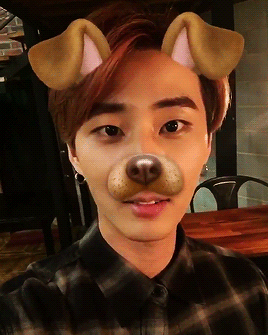 younqk:kang puppy♡  