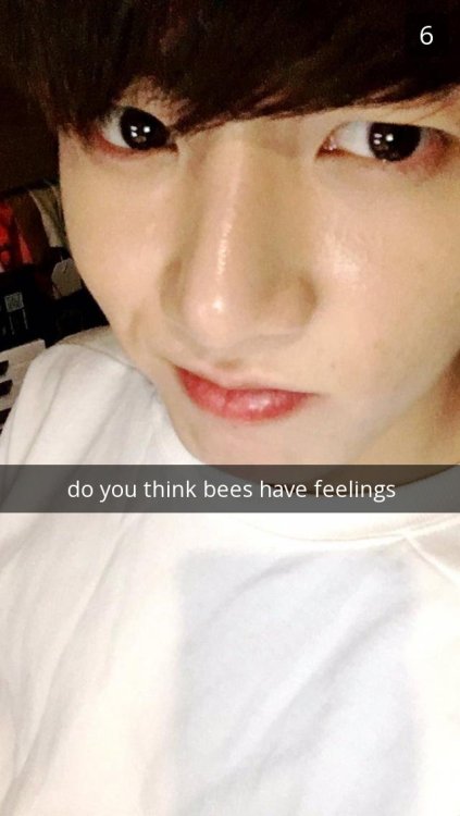 snapchattingidols: but do they hyung?