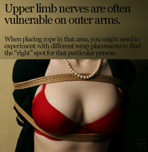 thebeautyofrope: text and layout by TheRopeGeek models:  K, @tardiscunttreasures, @camdamage​, @ropebaby​, @jewelryandfire​ Nerve Injury Reference Card from frozenmeursault.com 