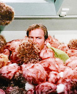 aramakis:  2x15 The Trouble With Tribbles