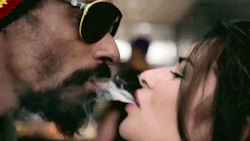 Into A Stoner's Mind!
