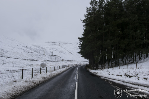 Ochil Hills, Scotland