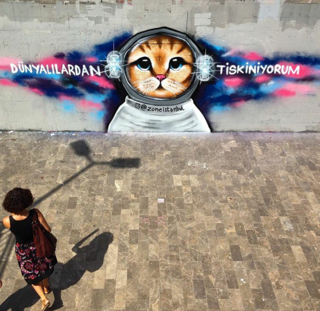 Uzaylı kediler eklesin :d #zoneistanbul#foto#graffiti#graffittiart#art#wallpaper#wall art