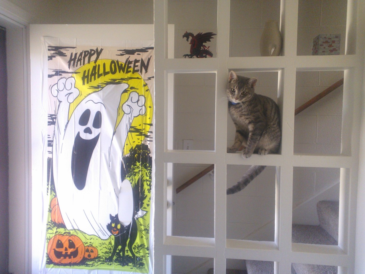 Look at Steve! It&rsquo;s hard to believe he used to fit in my husband&rsquo;s