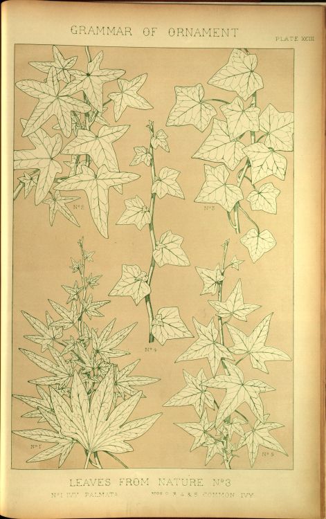 nobrashfestivity:    Owen Jones, Leaves,  examples from The Grammar of Ornament, 1856  more