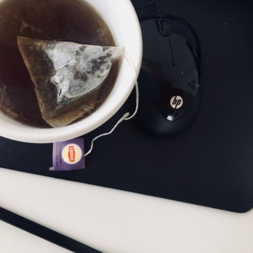 successupreme:47/100 days of productivity:Lilac theme for today! Currently studying Ancient Greek at
