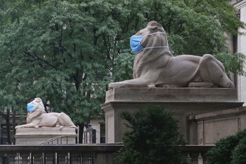 route22ny:With New York City Public Library branches about to reopen, Patience and Fortitude, the lions that guard the entry to the main branch at Bryant Park, are reminding visitors to protect themselves and others appropriately from the risk of covid19