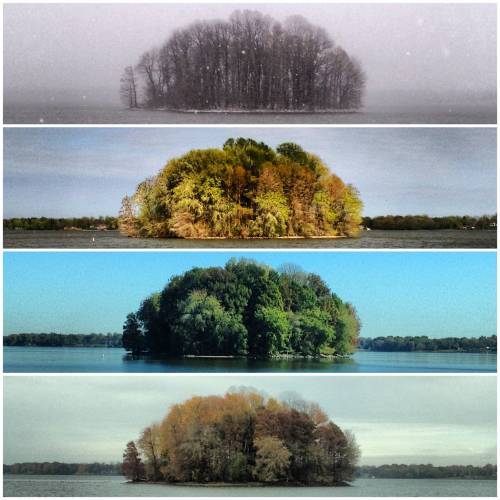the four seasons of the bush | tyler casson.