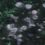 crookedcrook13