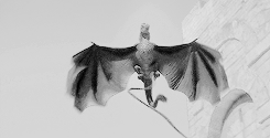 ariannsmartell:  Daenerys has taken up residence in Meereen. She has conquered the