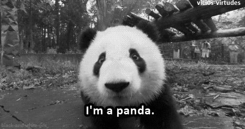 sweetaswag:  I’m a panda. :’3