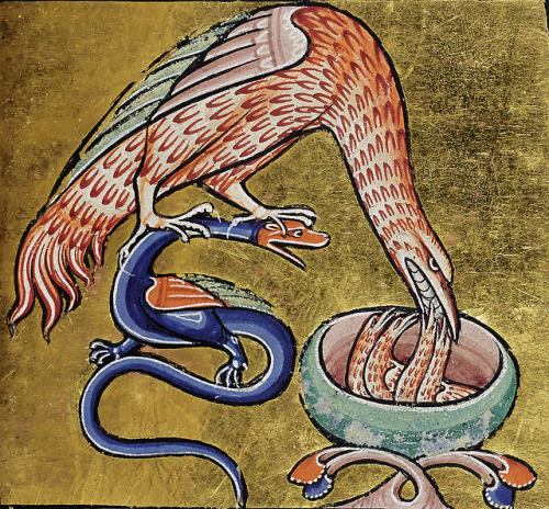 dragon-eaterbestiary, England c. 1200Aberdeen University Library, MS 24, fol. 47r