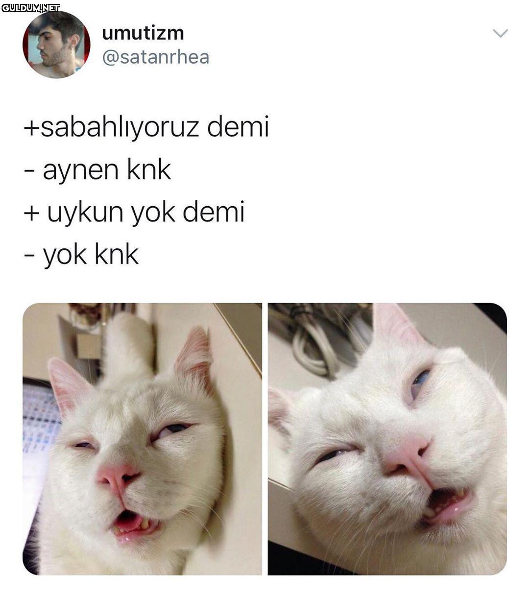 yakın arkadaşla sabahlama...