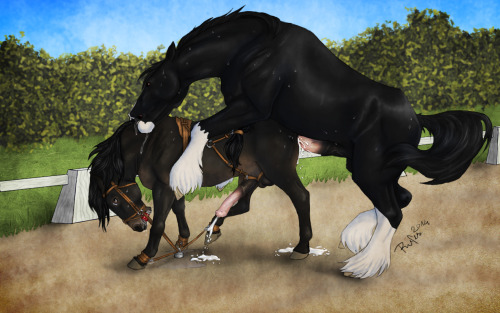 ARTIST SPOTLIGHT #1: RufciuRufciu is one of my personal favorite artists, so it wasnâ€™t hard to procure ten of my favorite pictures for this. She specializes in feral equine art particularly as showcased here. While Rufciu has done several feral on anthr