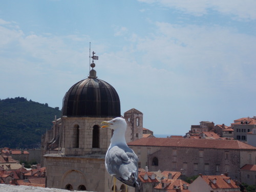 Next stop on my trip, the beautiful old city of Dubrovnik, Croatia.