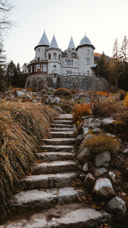 bokehm0n:Autumn bliss in the Aosta Valley, Italy.