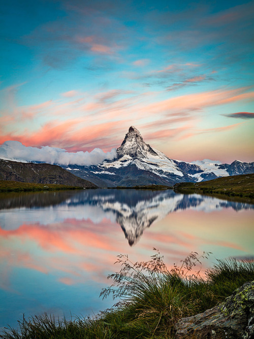 Sex drxgonfly:A Dreamy Scene (by Chris Zimmermann)Photographer’s pictures