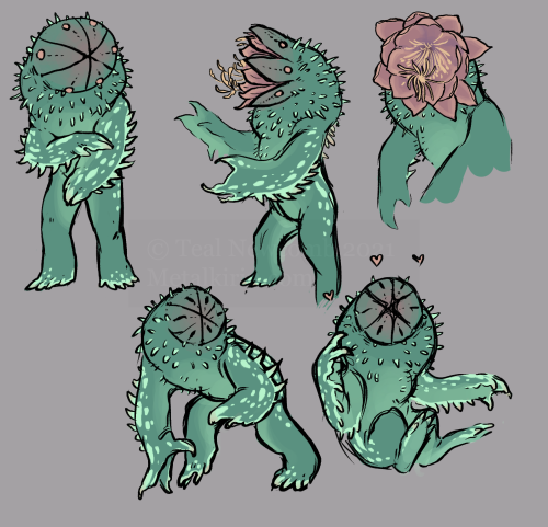 thedancingemu:  Concept sketches for a lil’ cactus/succulent fae buddy  @spawnofwitches shared