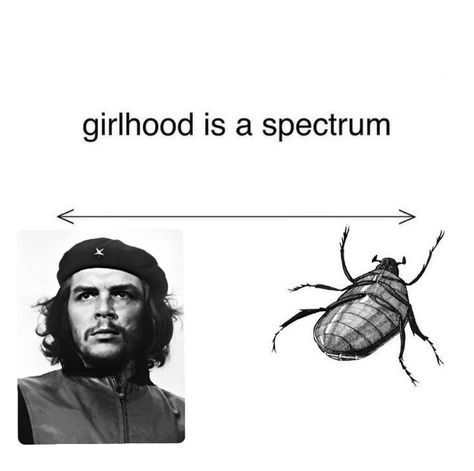 littlecommunistt