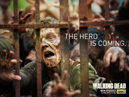 thewalkingdead: Alert your friends.