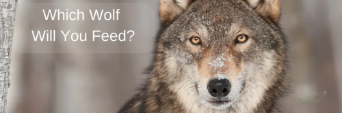 The Wolf You Feed