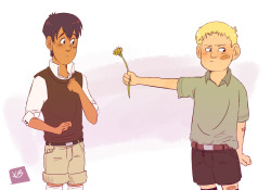 Bimmykimmy:  Reiner (And Me) Used To Think That Dandelions Were Flowers 