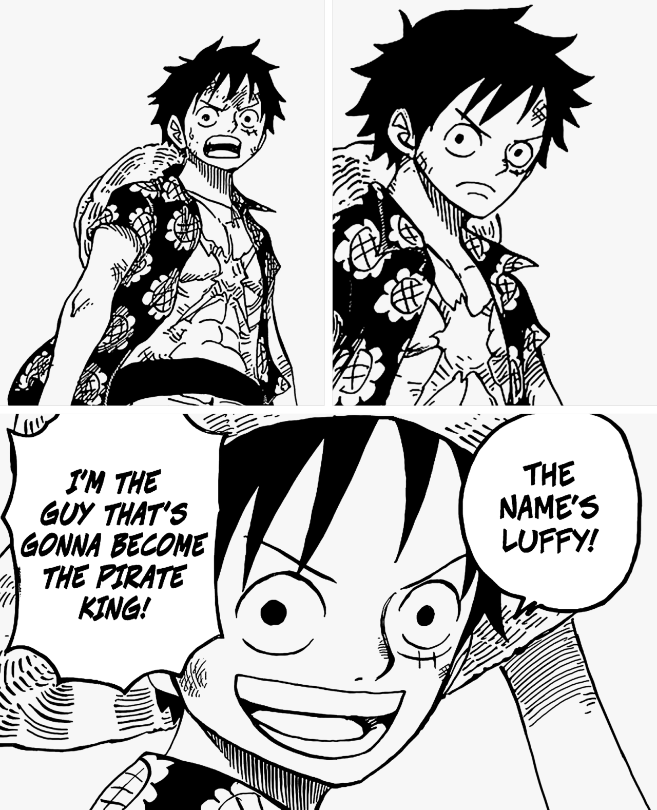 zorobae:  May 5th 2015 - Happy Birthday to the Future Pirate KingMonkey D. Luffy