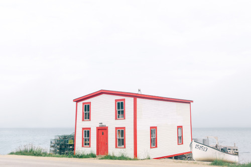 benjaminheath: Around Newfoundland. A new favorite place. 