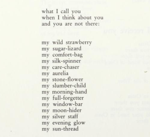 violentwavesofemotion: Friederike Mayröcker, tr. by Beth Bjorklund, from Tod Durch Musen; &ldqu